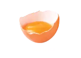 Sveža-jajca-lasta-slo